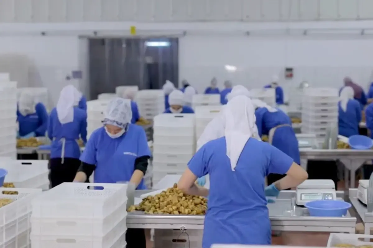 14 ulkeye ihracat yapan turk gida devi konkordato ilan etti KfrPcPqi