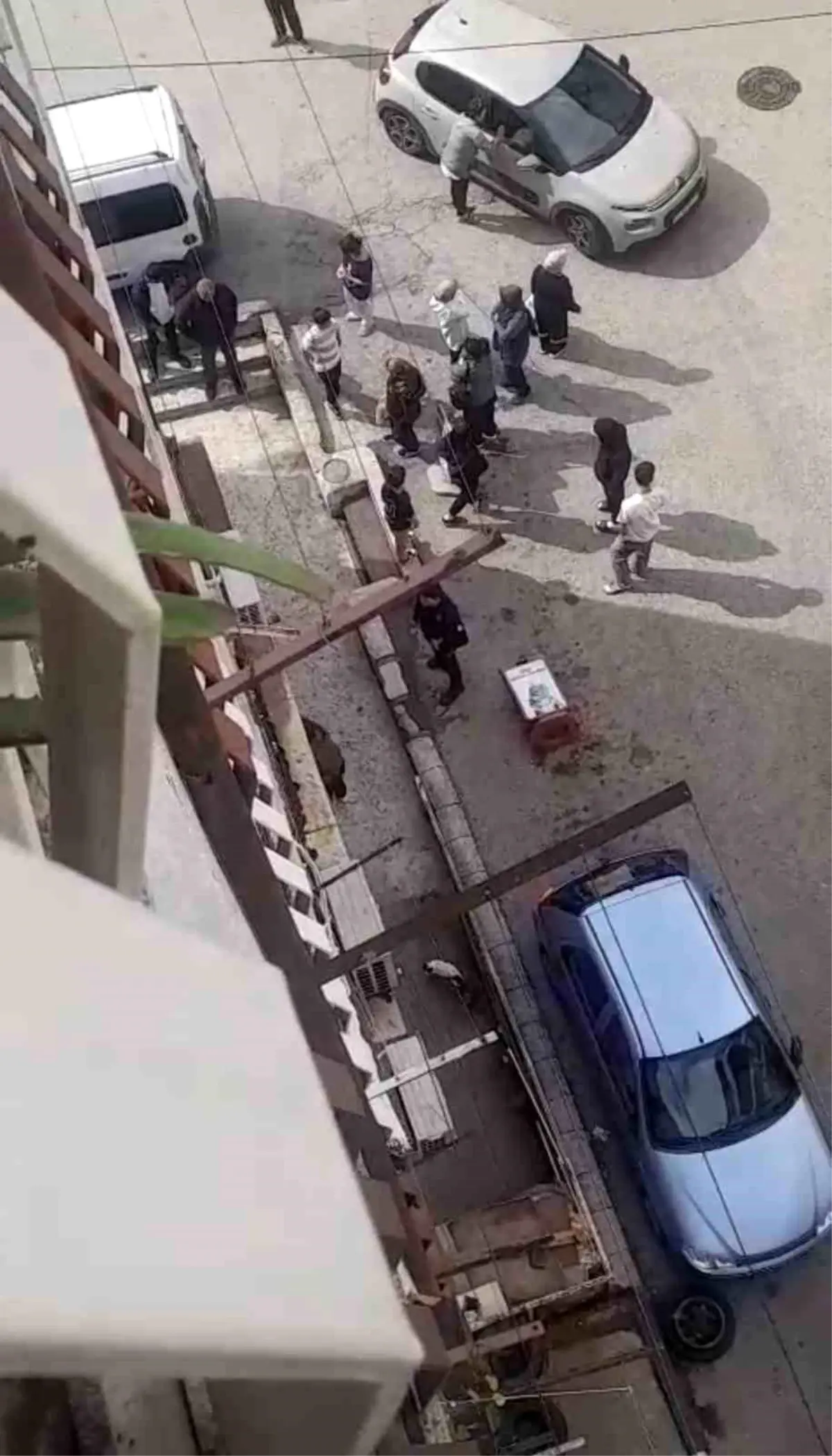 bursada petshopta taciz iddiasi Xc2L2qmD