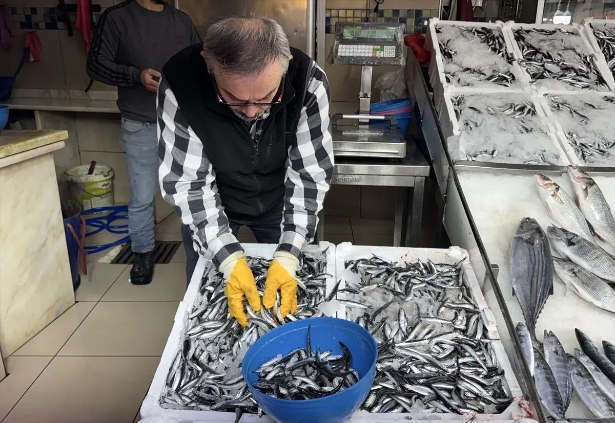 sinopta hamsi fiyatlari dustu nBlQ5HgU.jpg