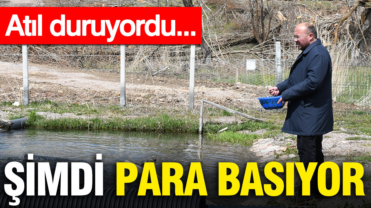 Kaynak Suyundan Taze Alabalık Üretimi: Ekonomik Yenilik!