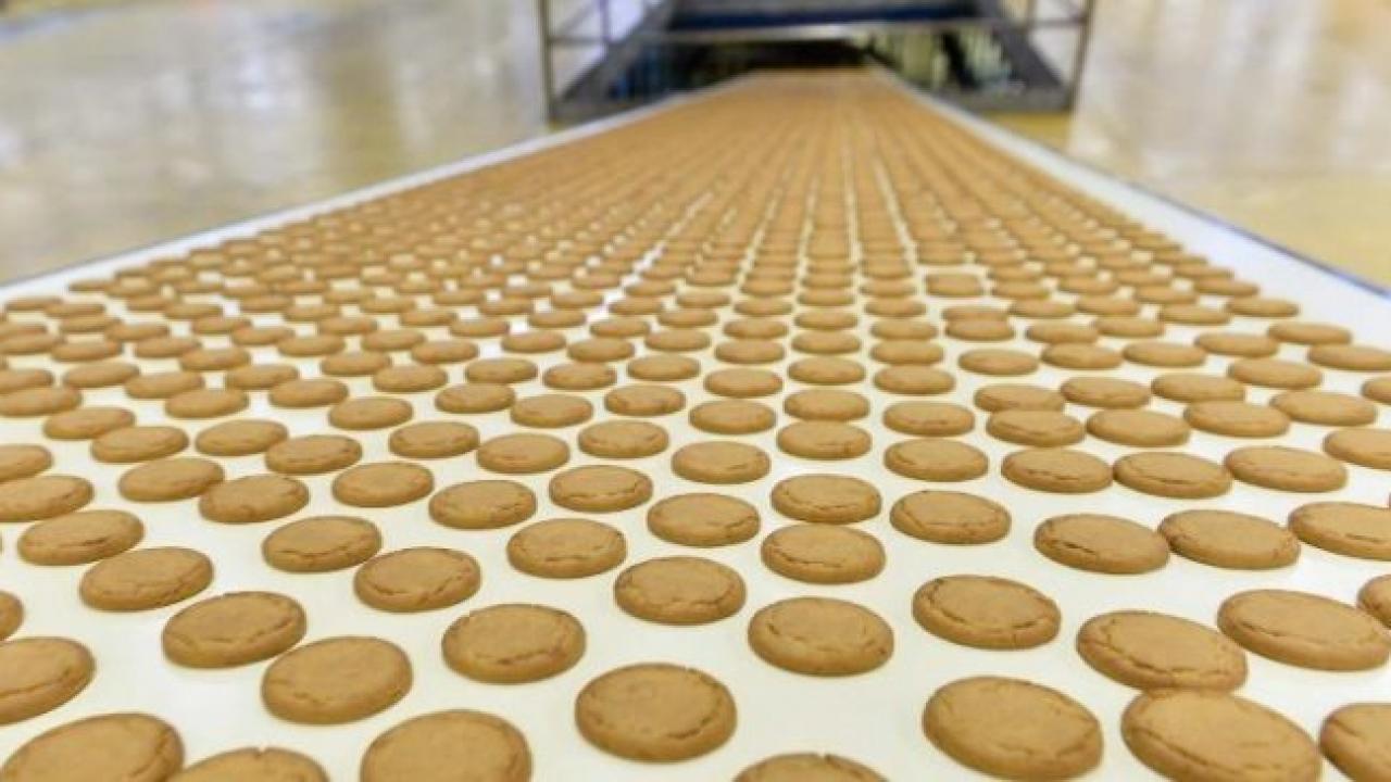 Pladis dengeli beslenmeye katki sunan urun hacmini 2030a kadar iki katina cikaracak 8Kzt7lwK