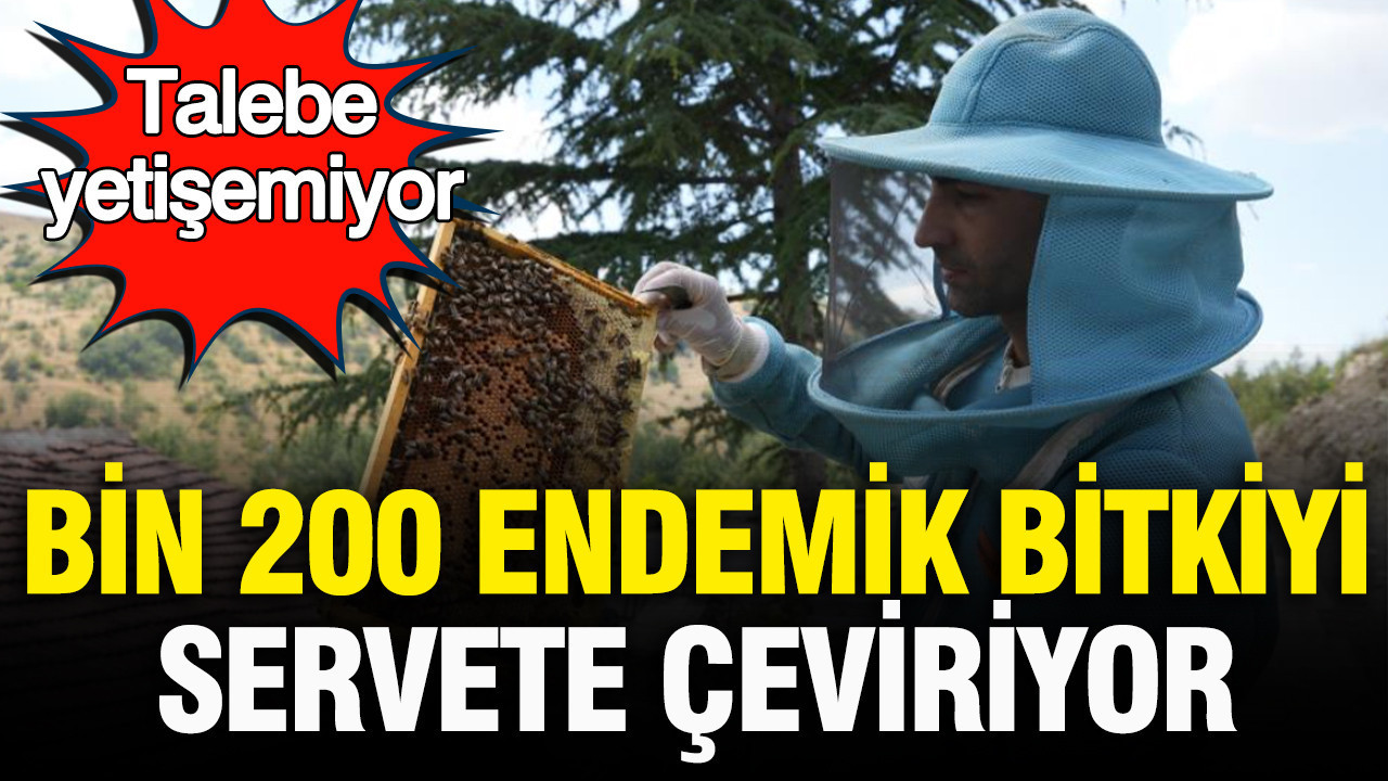Talebe yetisemiyor bin 200 endemik bitkiyle uretilen bali tum turkiyeye satiyor hUmM3mc9